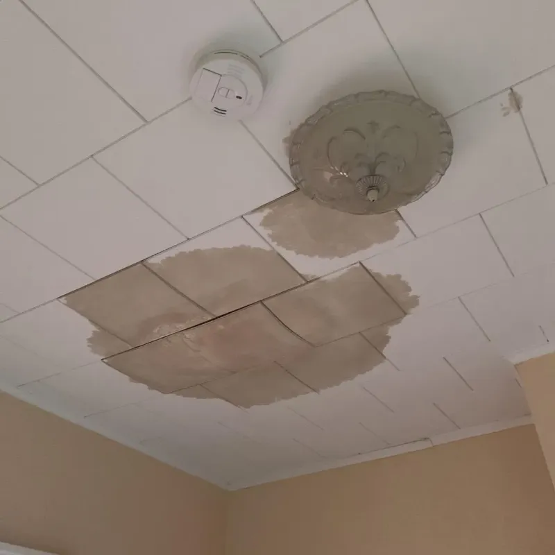 Ceiling Water Damage Repair in Asbury, IA