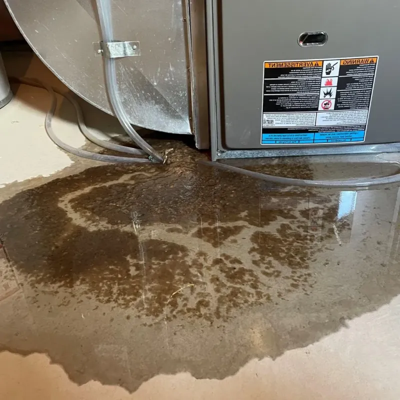 Pipe Burst and Leak Restoration in Asbury, IA