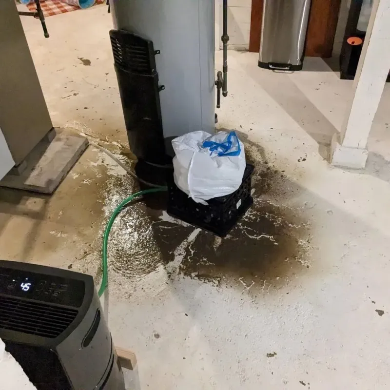 Sewage Backup Cleanup Service in Asbury, IA